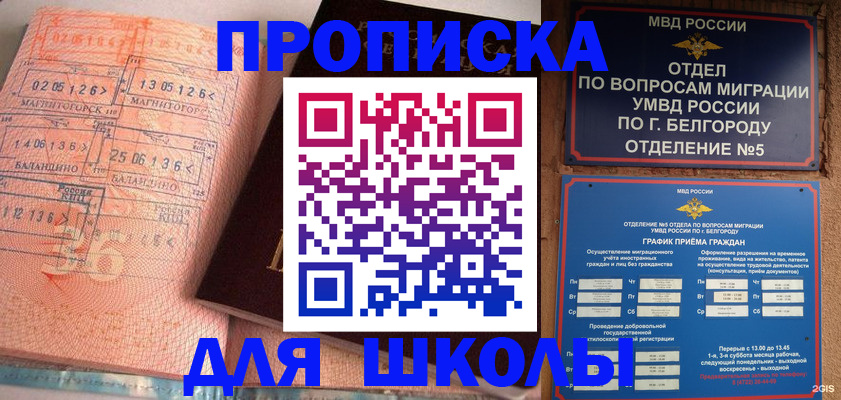 прописка иностранных граждан в Сланцах